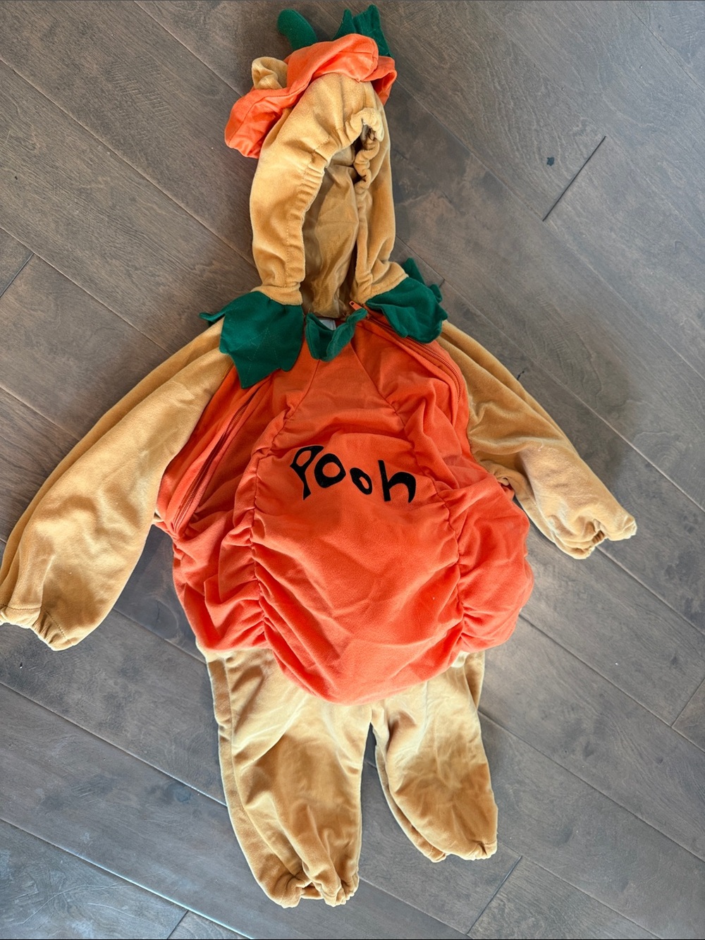 Vintage Disney Pumpkin Pooh Kids Costume - Orange, Tan, Green